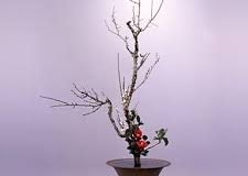 unknown-1